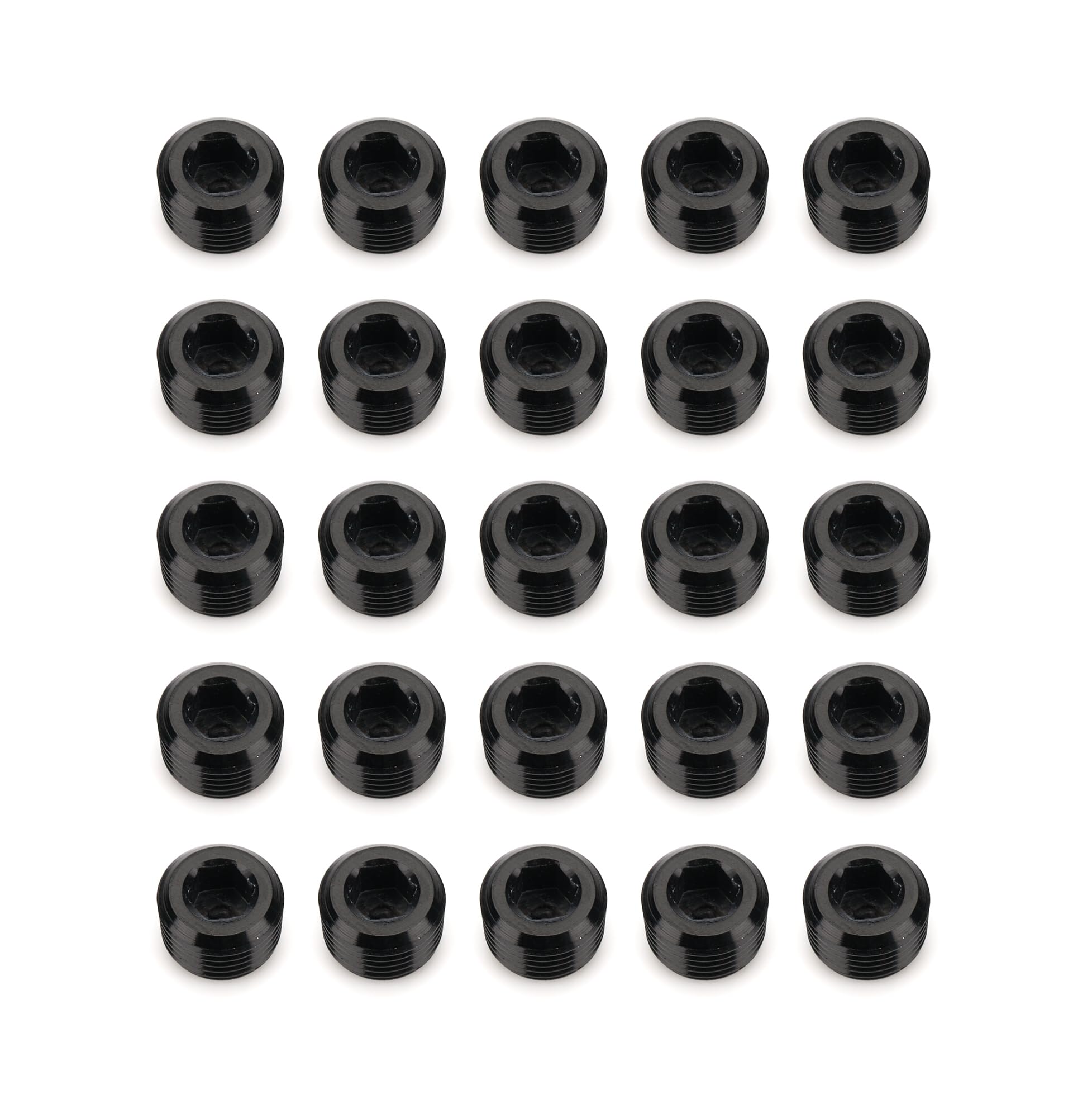932 Series RHP 932-02-25-2 NPT Socket Head Pipe Plug Kit