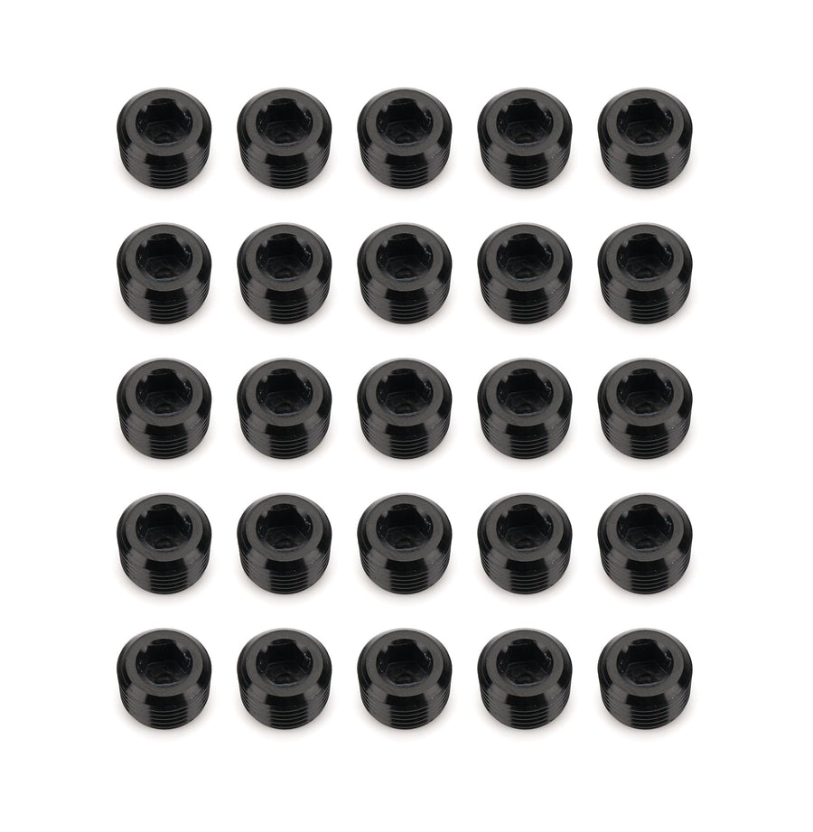 932 Series RHP 932-02-25-2 NPT Socket Head Pipe Plug Kit
