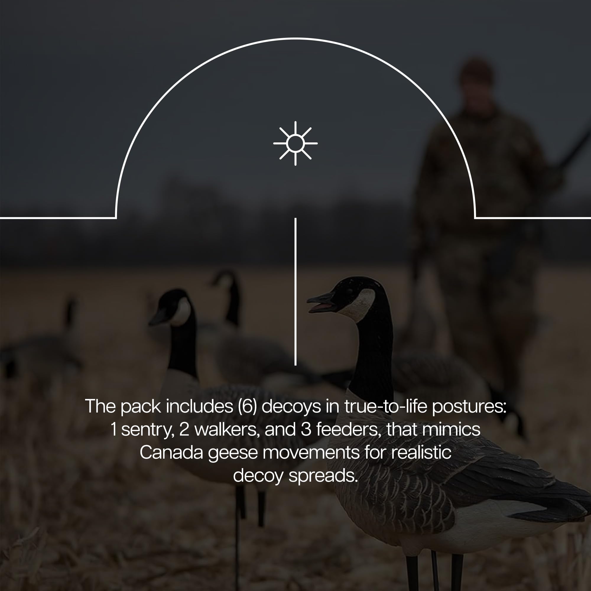 Avian X AXP Fusion Pack Honkers Full Body Canada Goose Decoys with Ultra Realistic Paint, Flocked Heads, 1 Sentry, 2 Walkers, and 3 Feeders