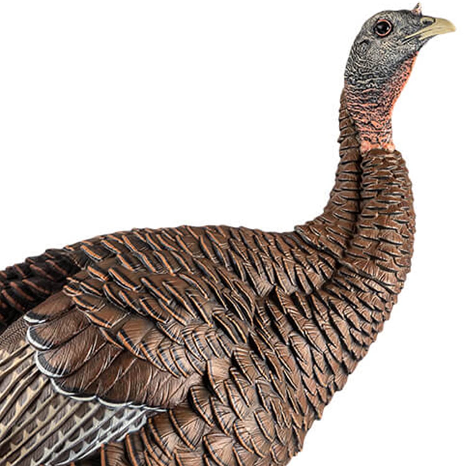 HDR Hen Turkey Decoy Avian-X | Durable Realistic Lifelike Standing Hunting Decoy with 2 Removable Heads, Carry Bag & Integrated Stake, AVX8106