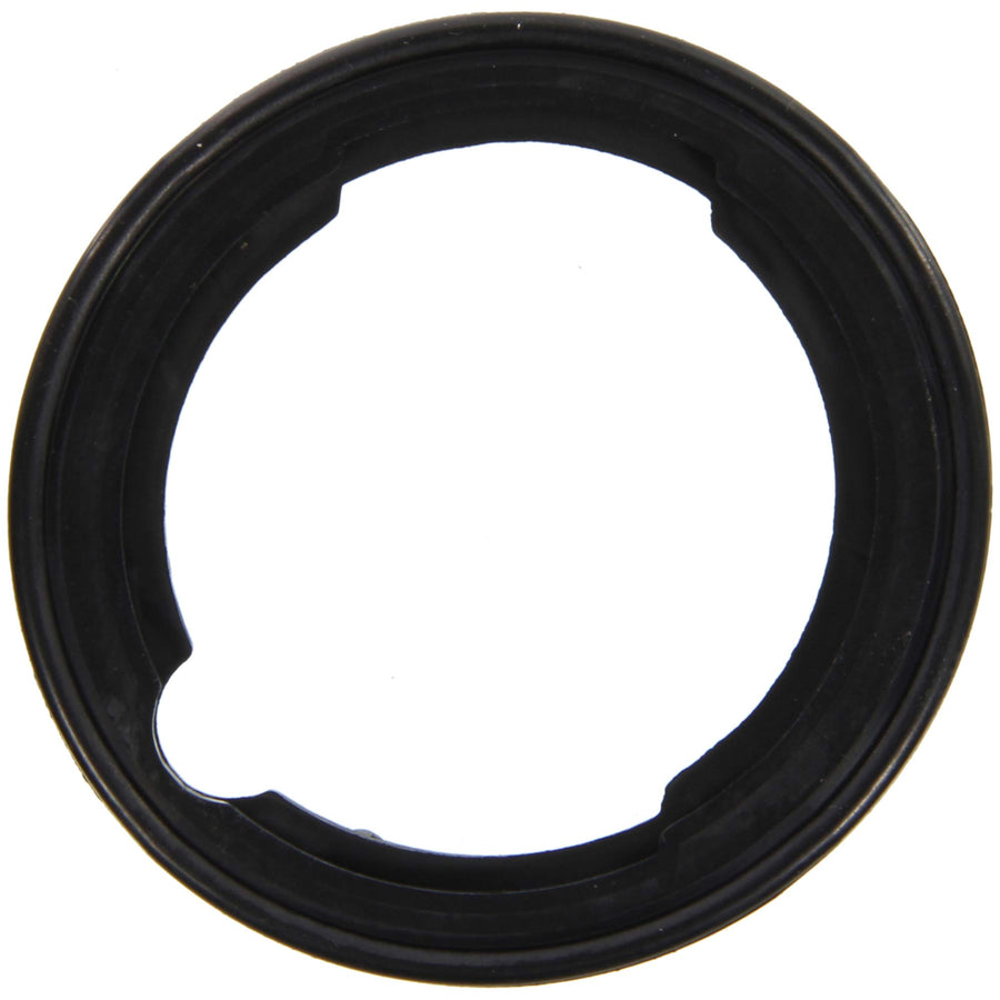 Thermostat FEL-PRO Gasket 35902
