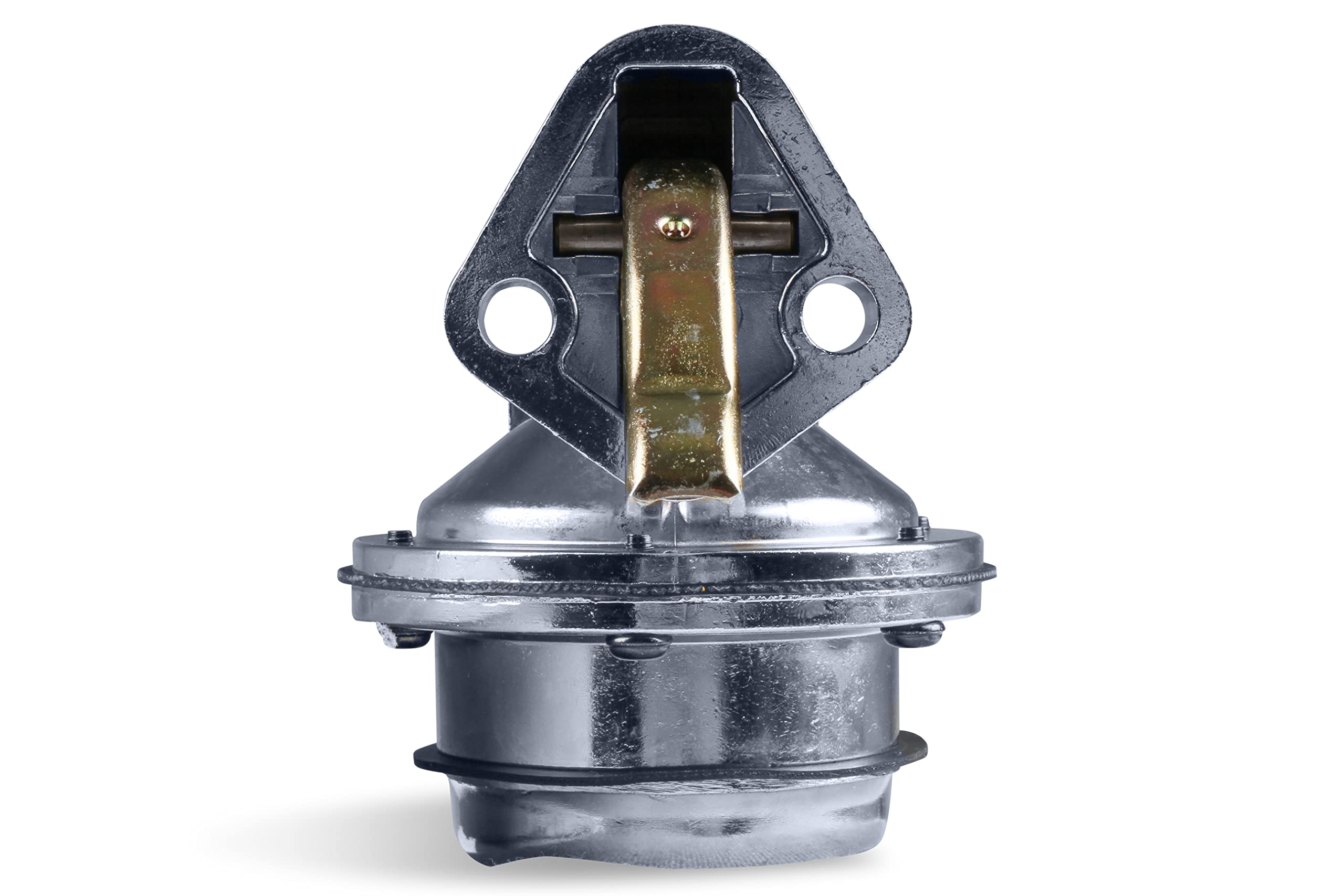 170+ GPH Holley Mechanical Fuel Pump 12-454-20