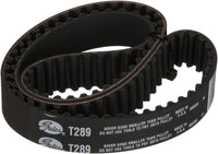 Premium Gates Automotive Timing Belt T289
