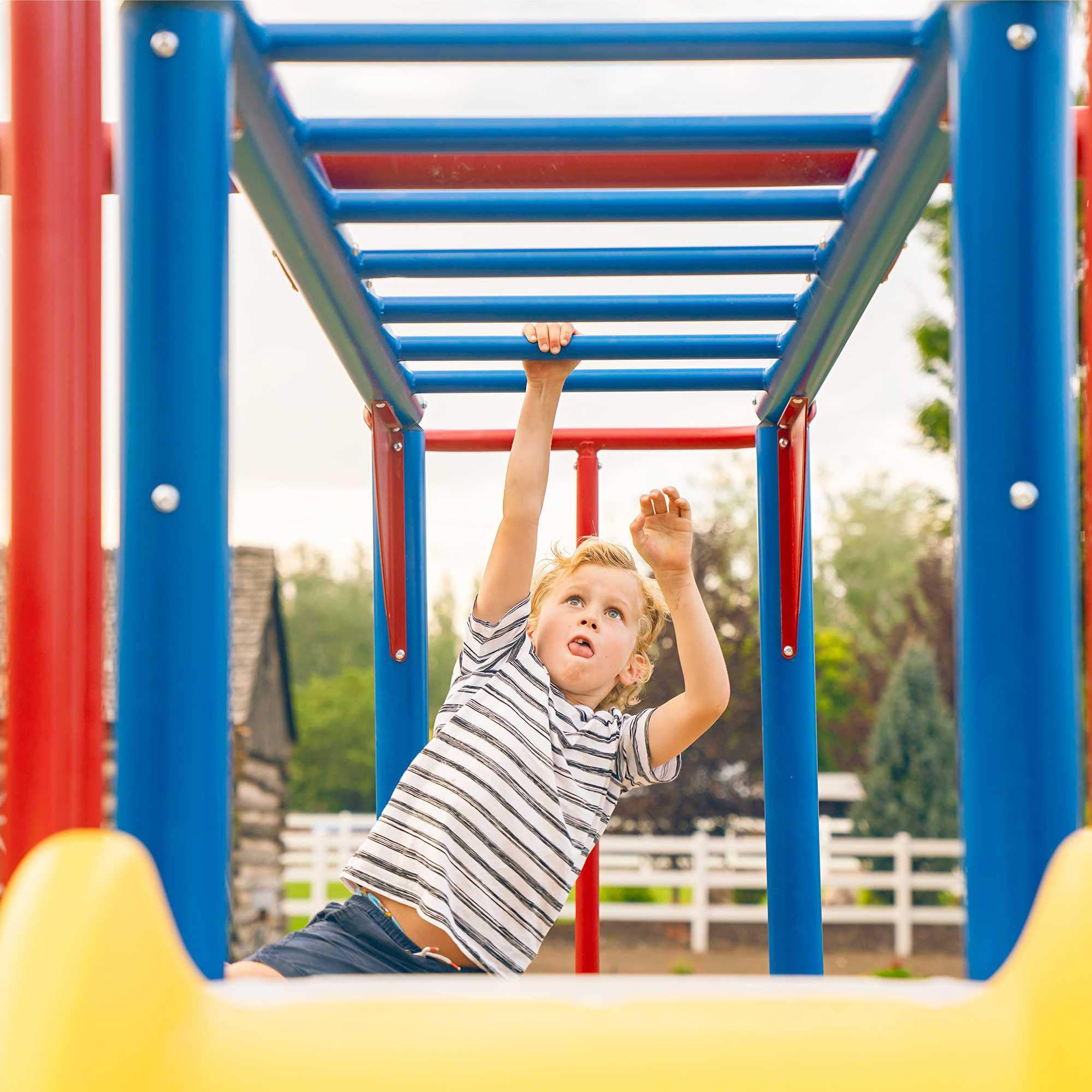 Monkey Bar Adventure Swing Set Lifetime 91022, Primary