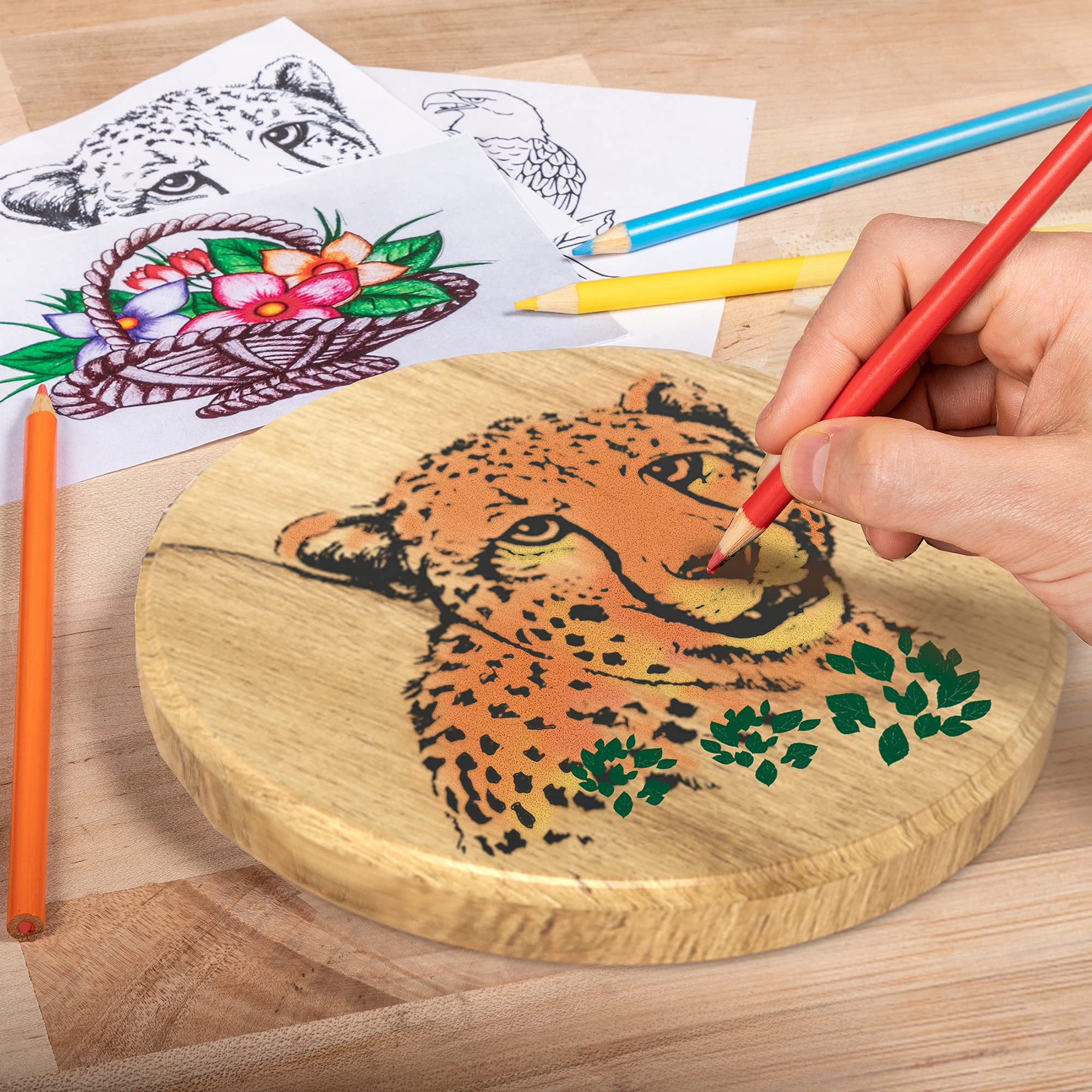 Weller Woodburning Project Kit Create Your Own, 28 Piece - WLPROWB128A