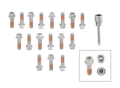 Headlock Locking Header Bolt Mr. Gasket 2236G, (Set of 17)
