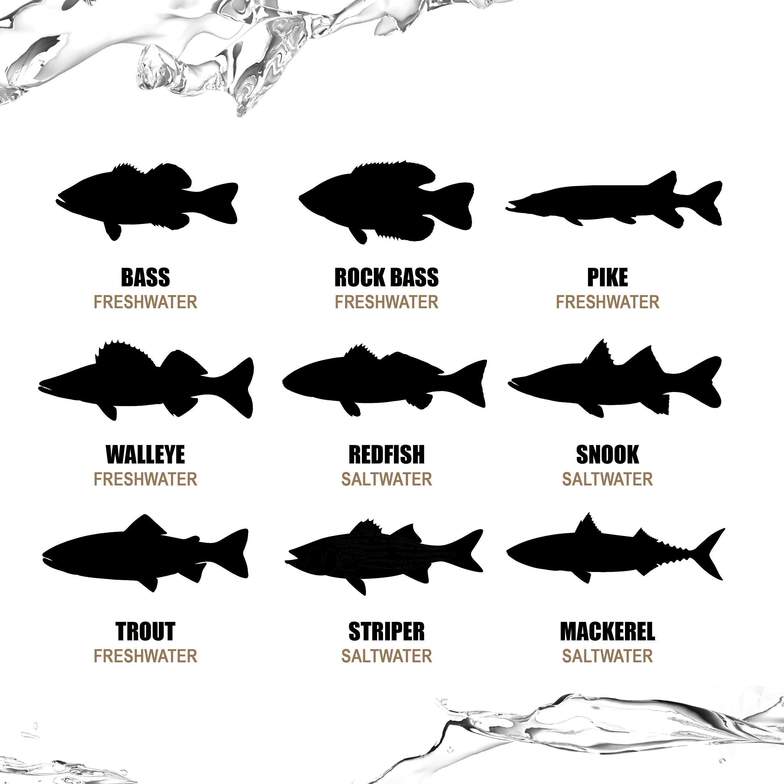 Lunkerhunt Swim Bento LHPBS305, 3", Multi