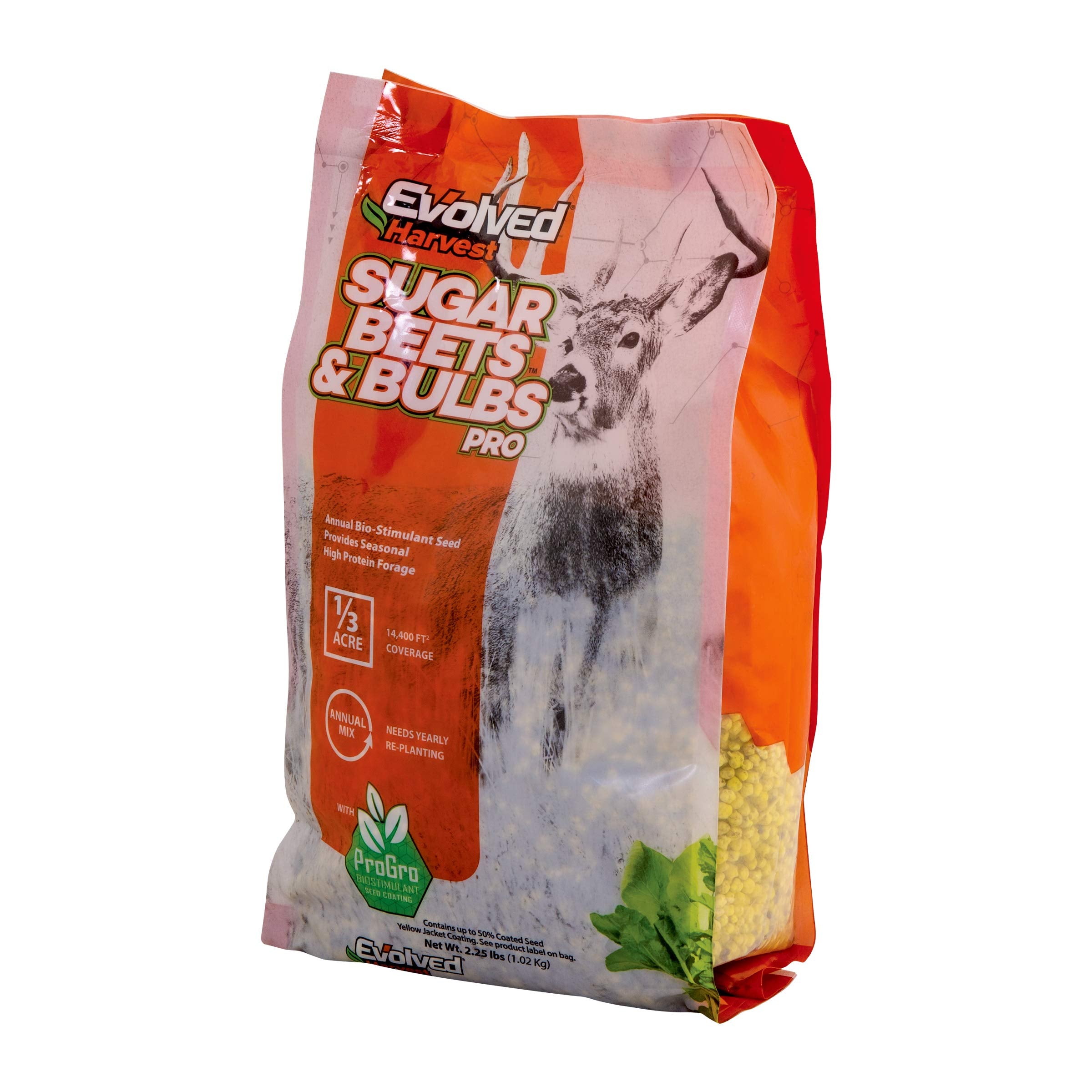 Sugar Beets and Bulbs Evolved Harvest