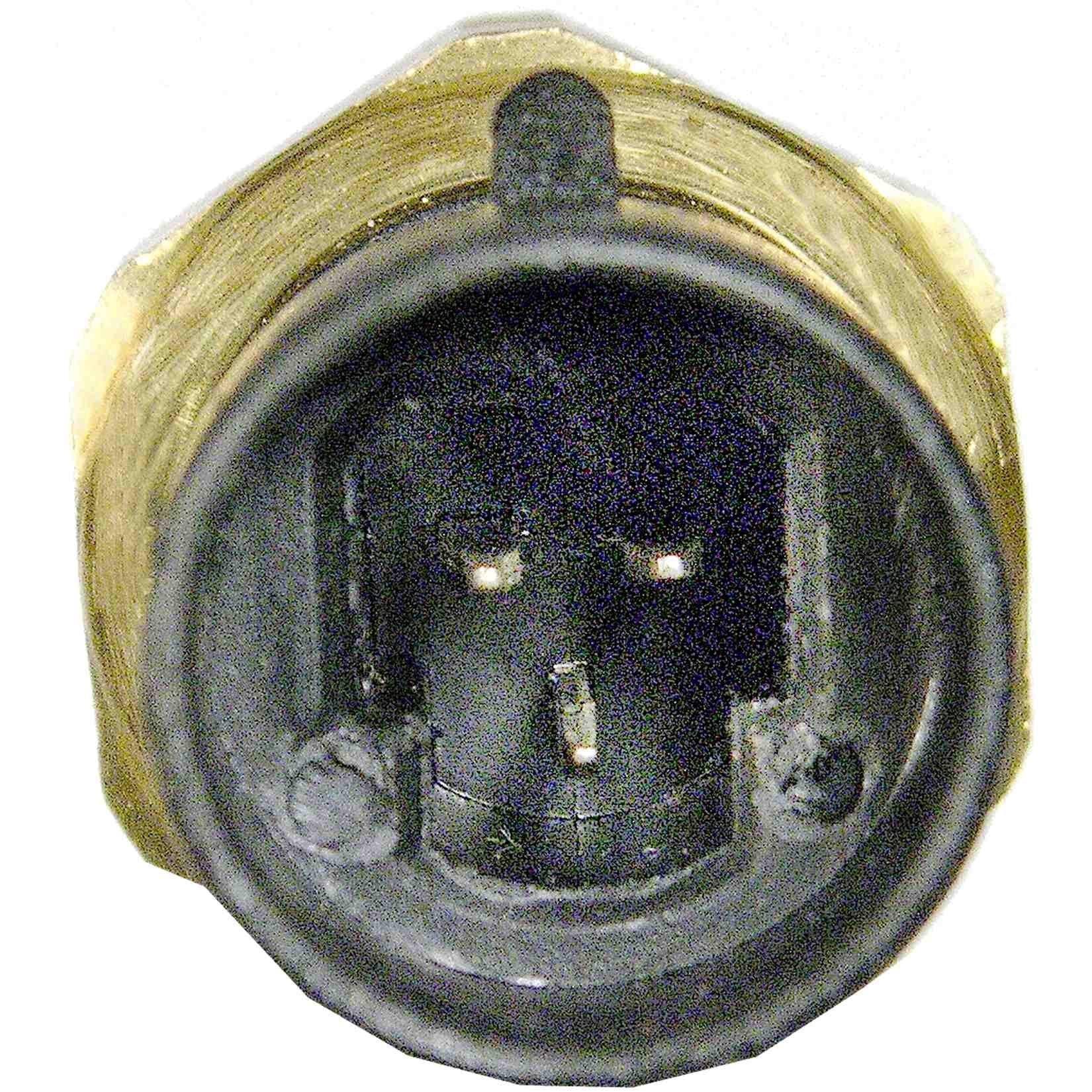 Coolant Temp Sensor NGK/NTK EF0101 (73971)