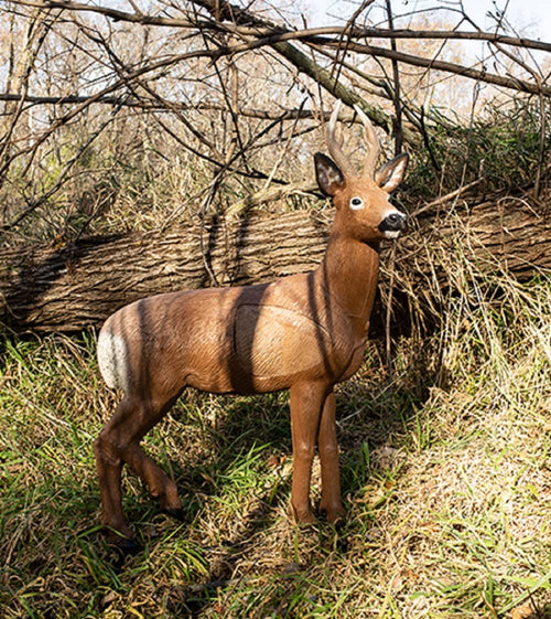 3D Roe Deer Archery Target Rinehart - UNIV
