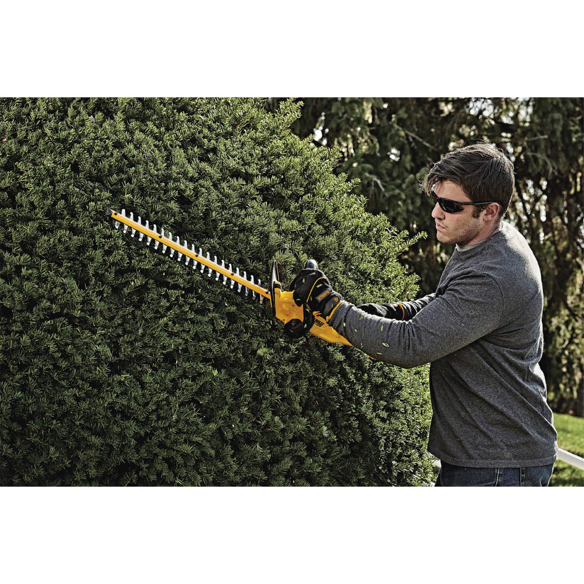 20V MAX* DEWALT Cordless Hedge Trimmer, 5.0 Ah, 22-Inch (DCHT820P1)