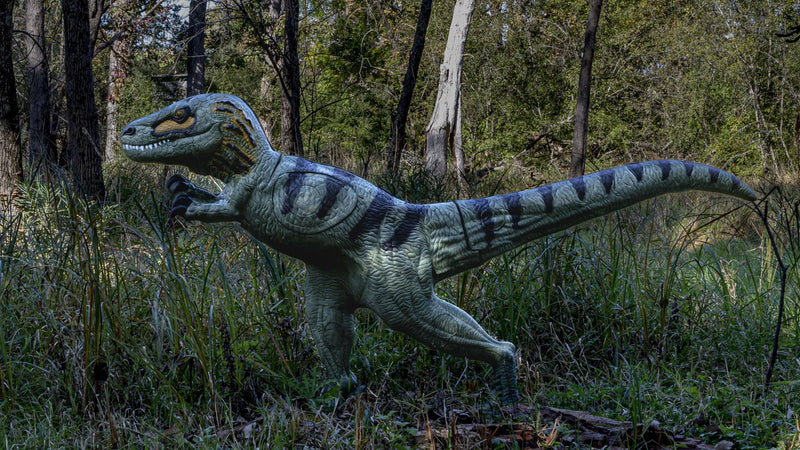 Velociraptor Rinehart Target IBO Pattern