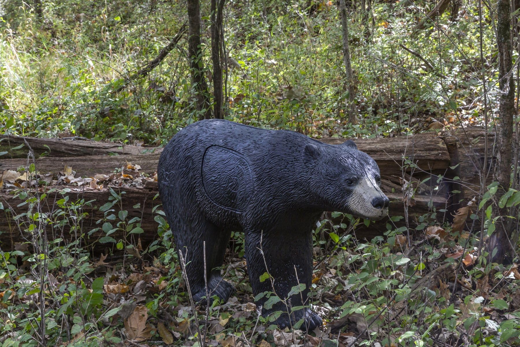 Black Bear Rinehart Signature 3D Archery Target | Realistic Black Bear with Replaceable Vital Insert | Broadhead & Field Point Compatible | Self-Healing Foam | Made in USA