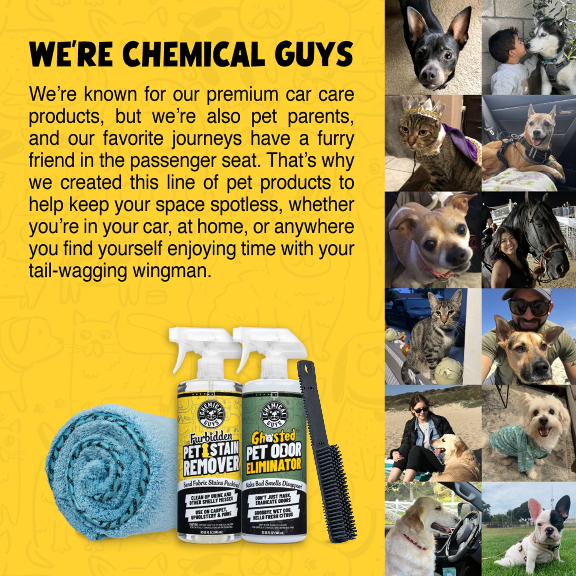 Chemical Guys Rubber Professional Pet Hair Removal Brush – Multi Surface Detailing & Pet Hair Removal Tool for Cars, Trucks, SUVs, RVs & Home – Removes Lint and Debris from Upholstery and Carpet