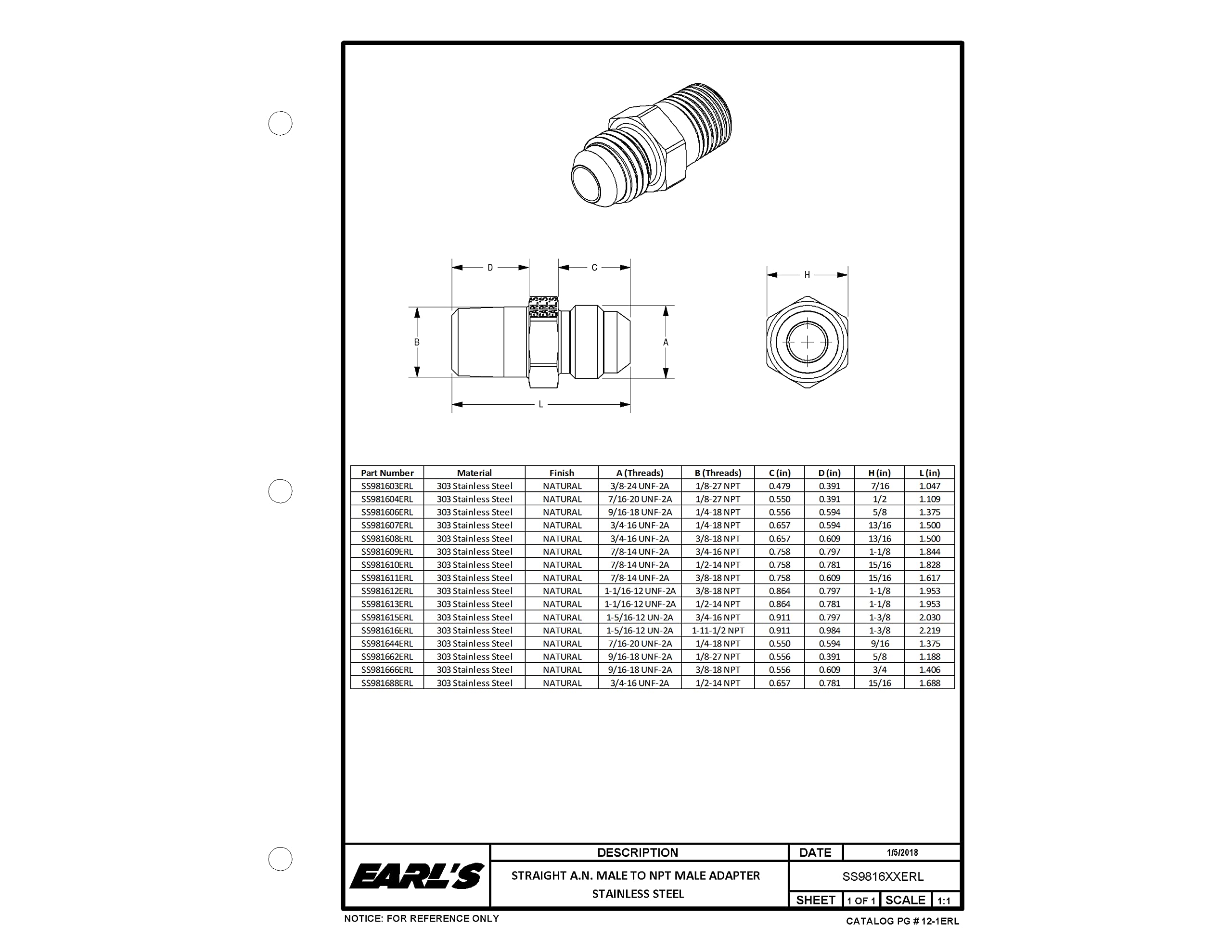 Earl's Straight Male AN -6 to 1/8 in. NPT SS981662ERL