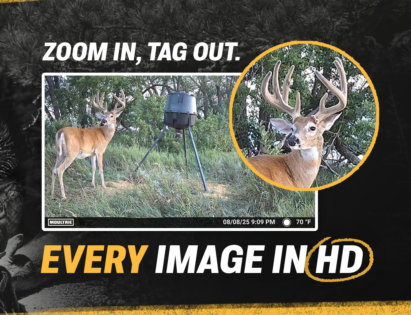 Moultrie 2 Pro Edge Cellular Trail Camera - Auto Connect Nationwide 4G LTE - On Demand 40MP Photo - 1440P Video with HD Audio - Ai False Trigger Elimination - 100 Ft Detection Range - No-Glow Flash