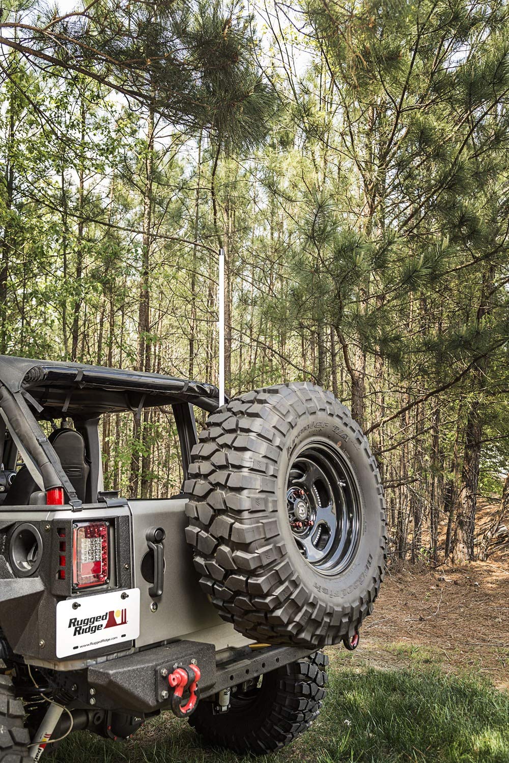 Lighted Rugged Ridge Whip | 11250.20 | Fits Universal