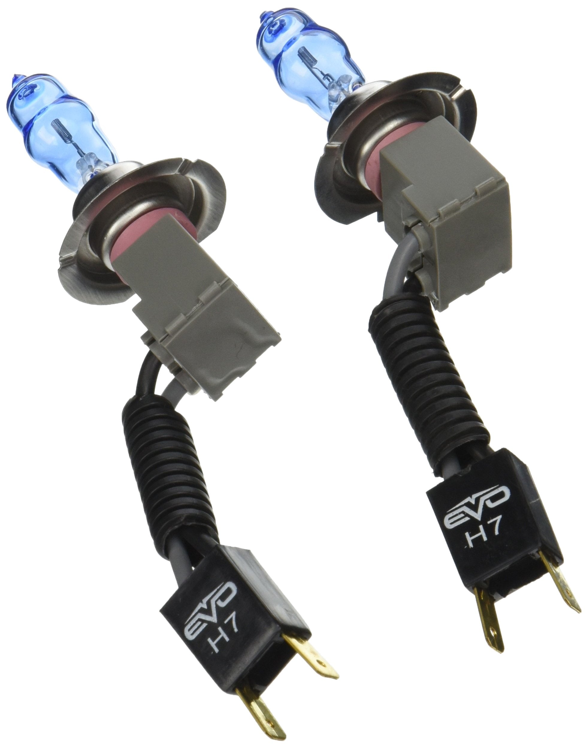 EVO Formance CIPA Alfas Maximum Intensity H7 Ultra White Halogen Bulbs - Twin Pack