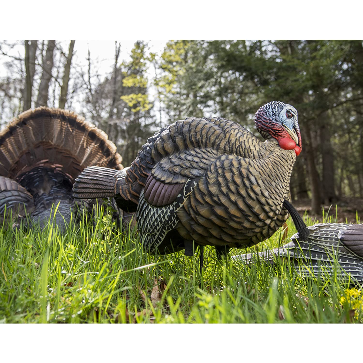 LCD Avian X 1/2 Strut Jake Turkey Decoy