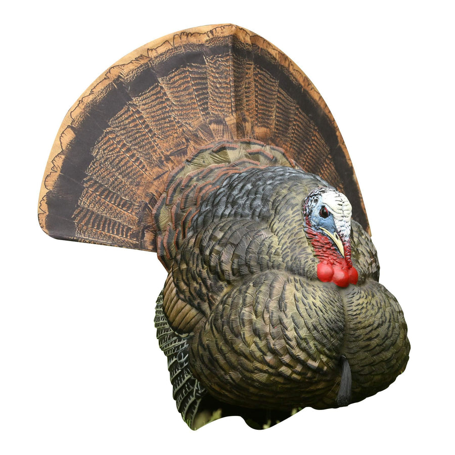 LCD Strutter Avian X Turkey Decoy