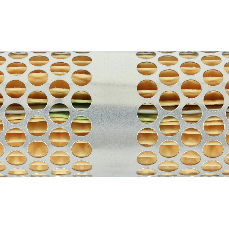 Fuel Filter Element AEM Race (25-202)