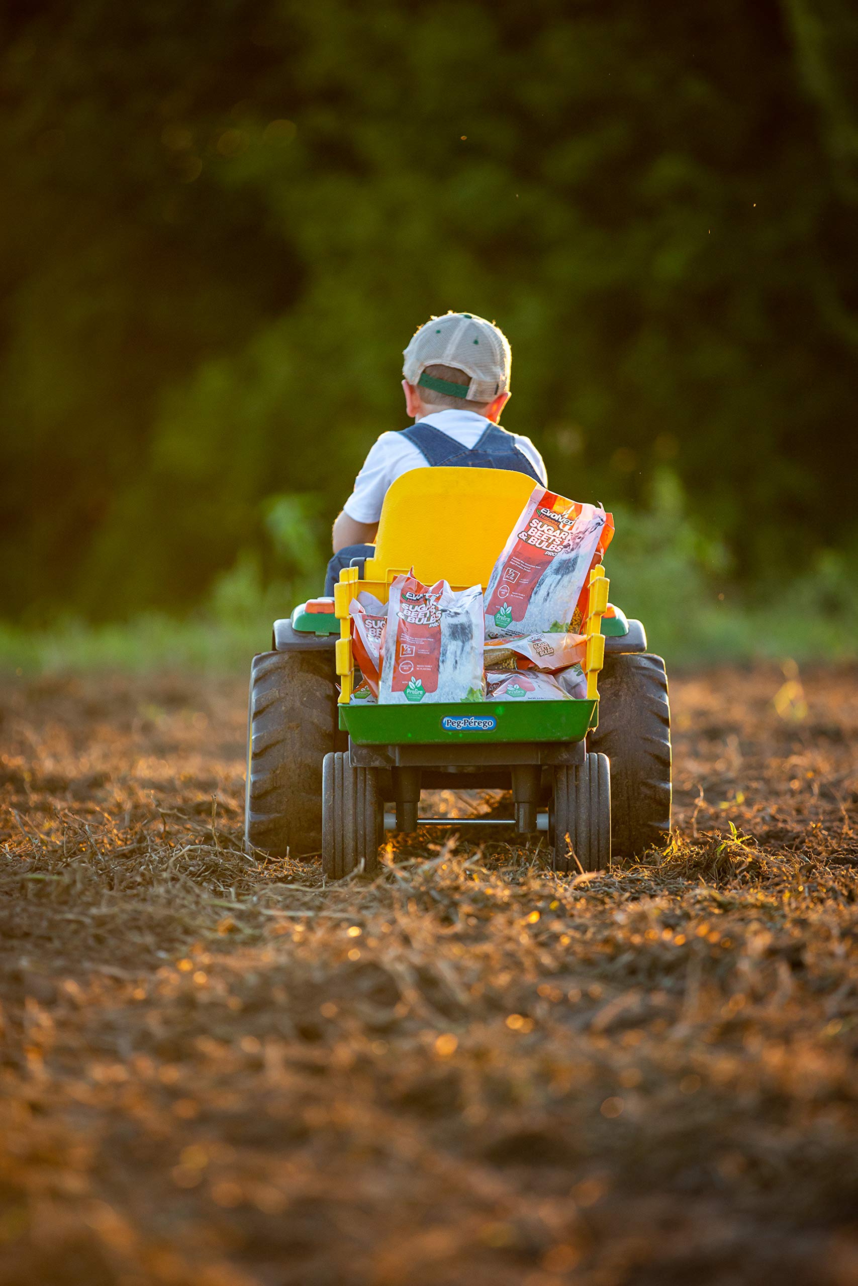 Sugar Beets and Bulbs Evolved Harvest