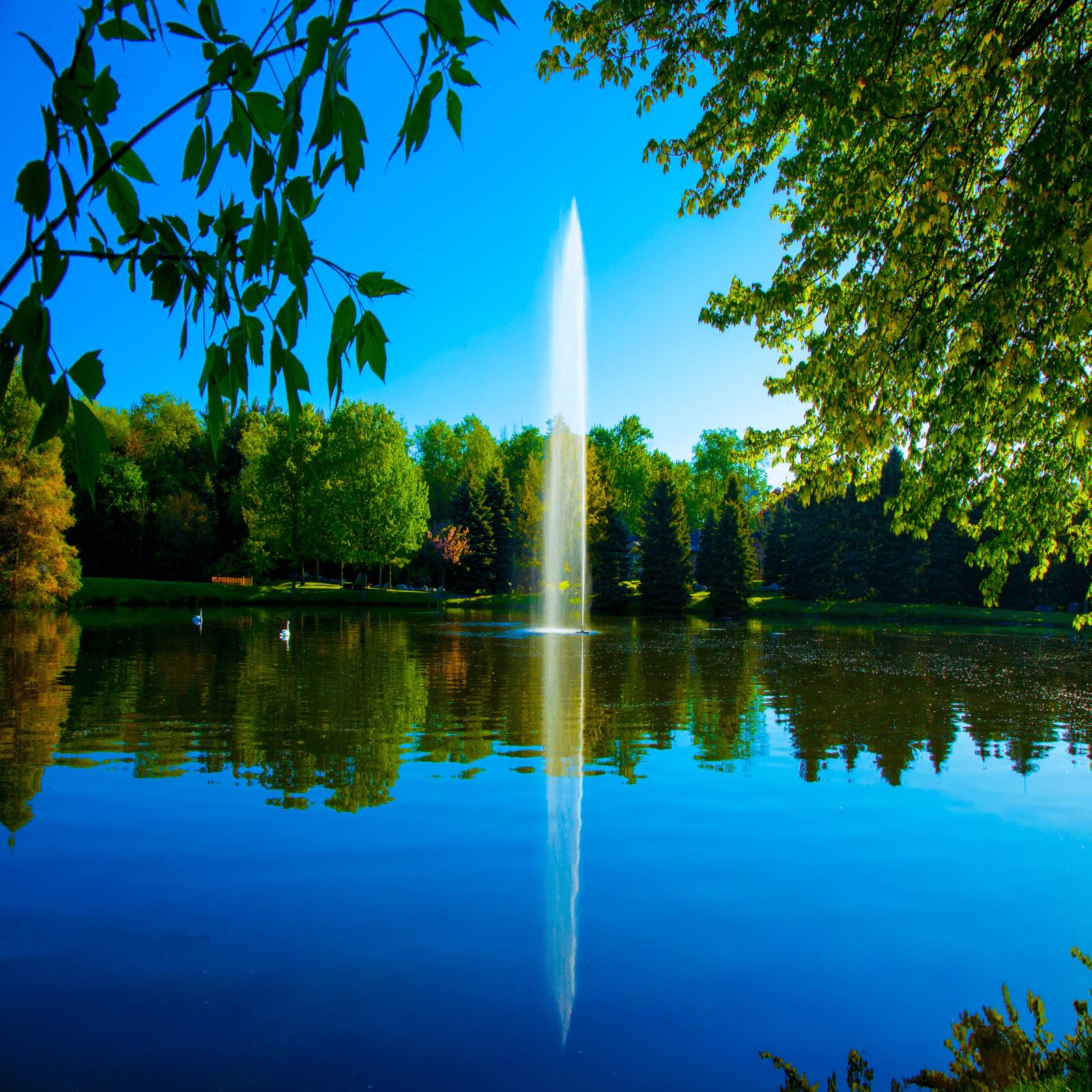 Gusher Fountain Scott Aerator 1/2 HP 230V Pond Aerator with 70 ft. Electric Cord | Decorative Pond Fountain | Aerating Fountain for Lakes & Ponds | Maintenance Free Stainless Steel Fountain