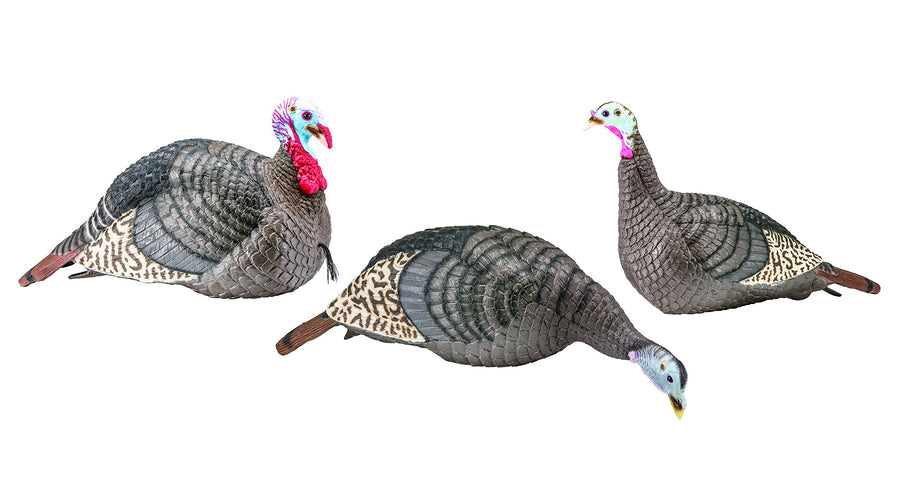 HUNTERS SPECIALTIES HS Strut Lite Flock Jake & Upright Hen & Feeding Hen Turkey Foldable Hollow Relaxed Body Realistic3-Pack Combo Set Decoys