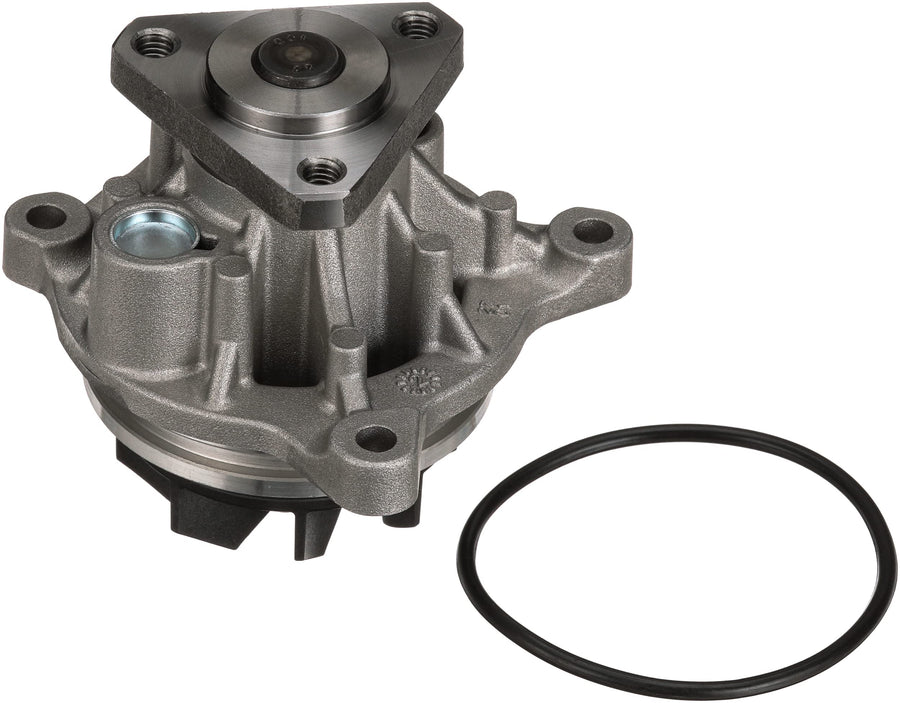 Water Gates Pumps (Standard) 41229