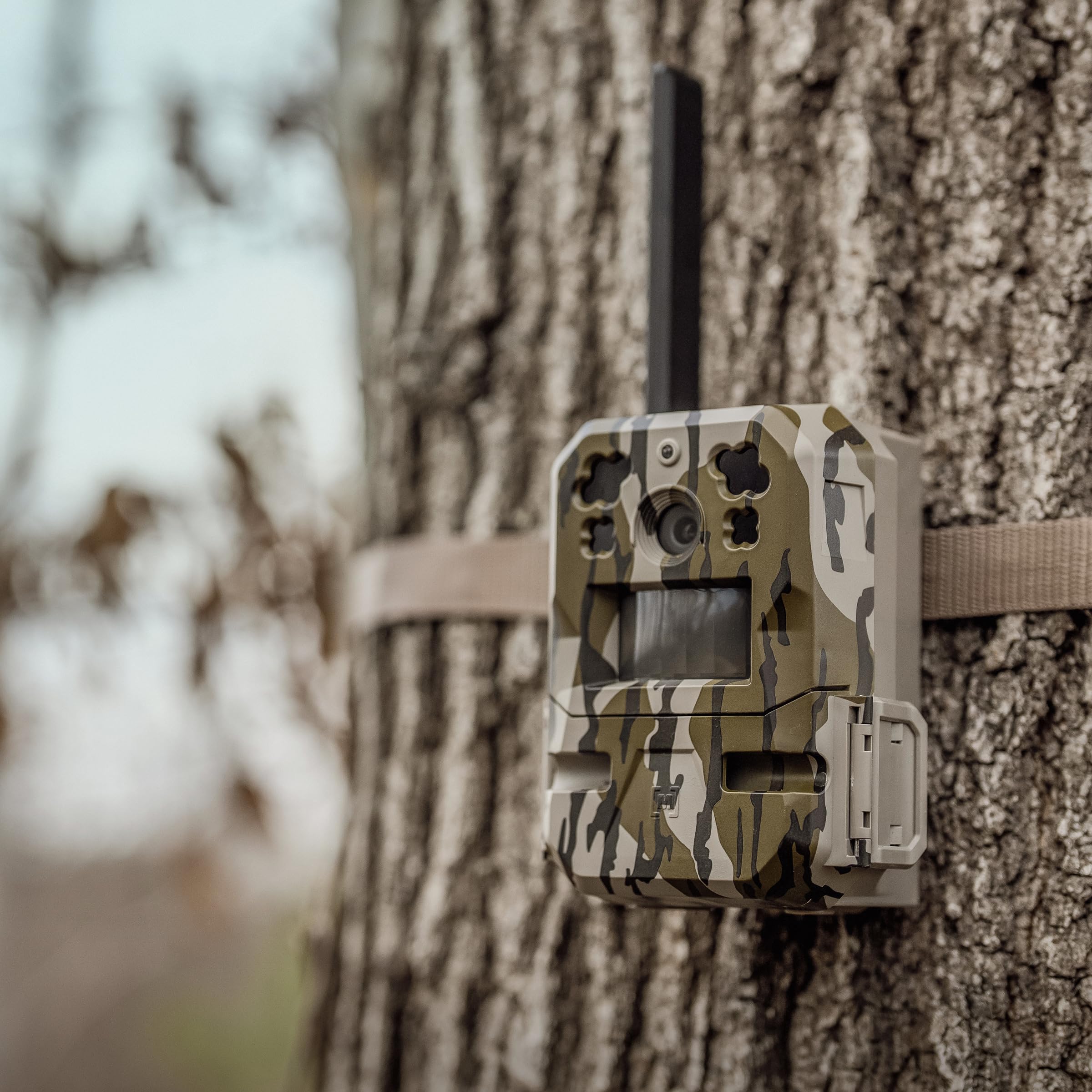 Moultrie Cellular Trail Camera Edge Pro - Auto Connect, Nationwide Coverage, False Trigger Elimination Tech,1080p Video with HD Audio, 100ft Detection Range