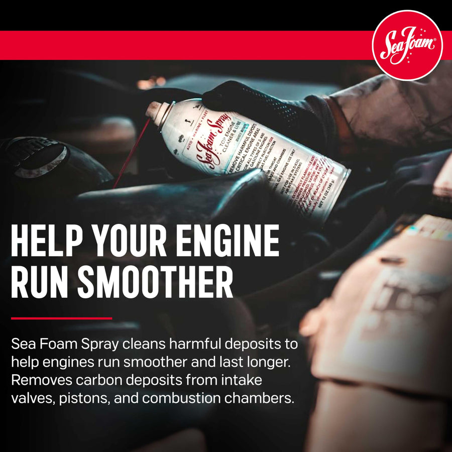 Sea Foam Engine Intake Valve Cleaner Spray, SS14, 14 oz