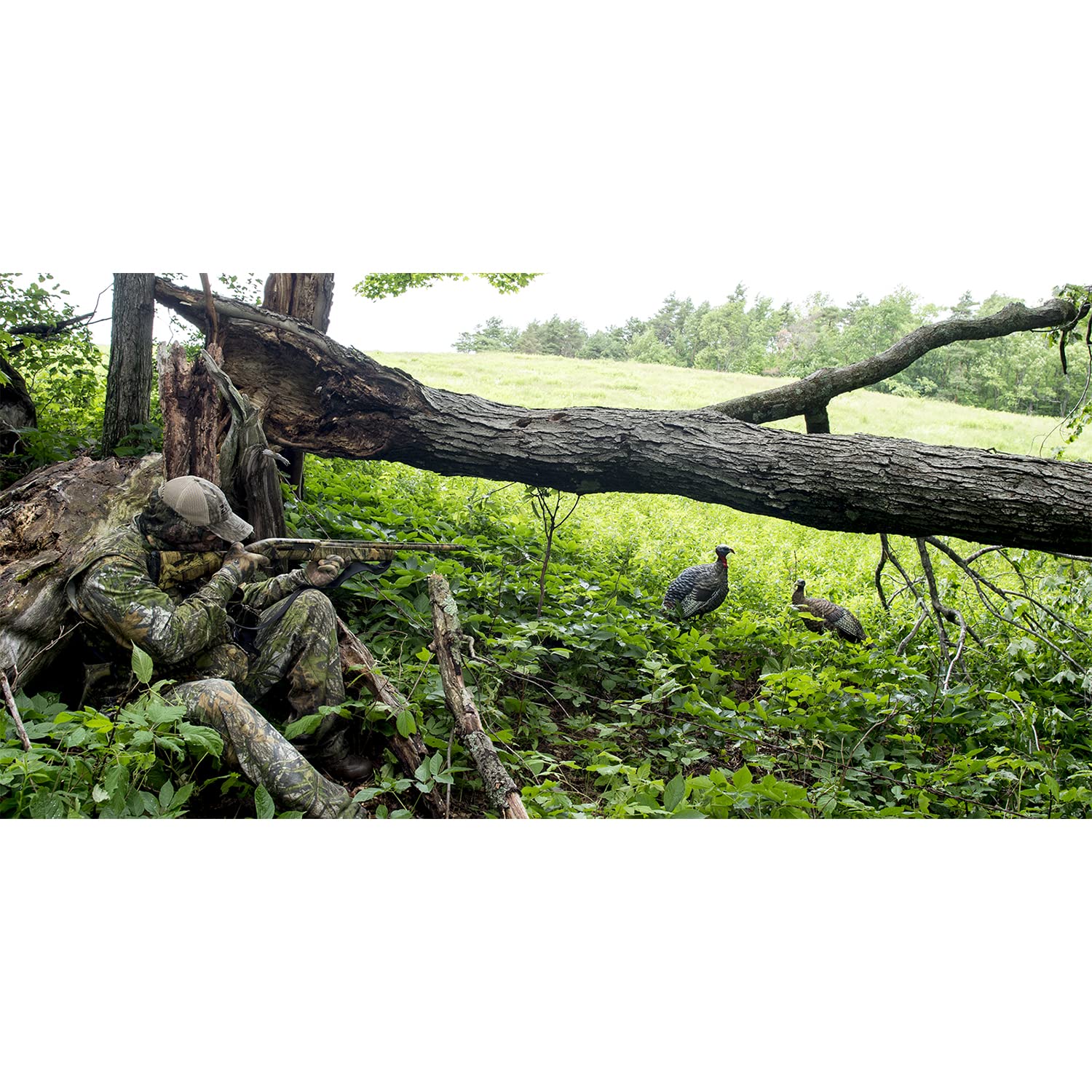 AVIAN-X Lookout Hen LCD Turkey Decoy | Durable Realistic Lifelike Collapsible Hunting Decoy with Carry Bag & Stake, AVX8006