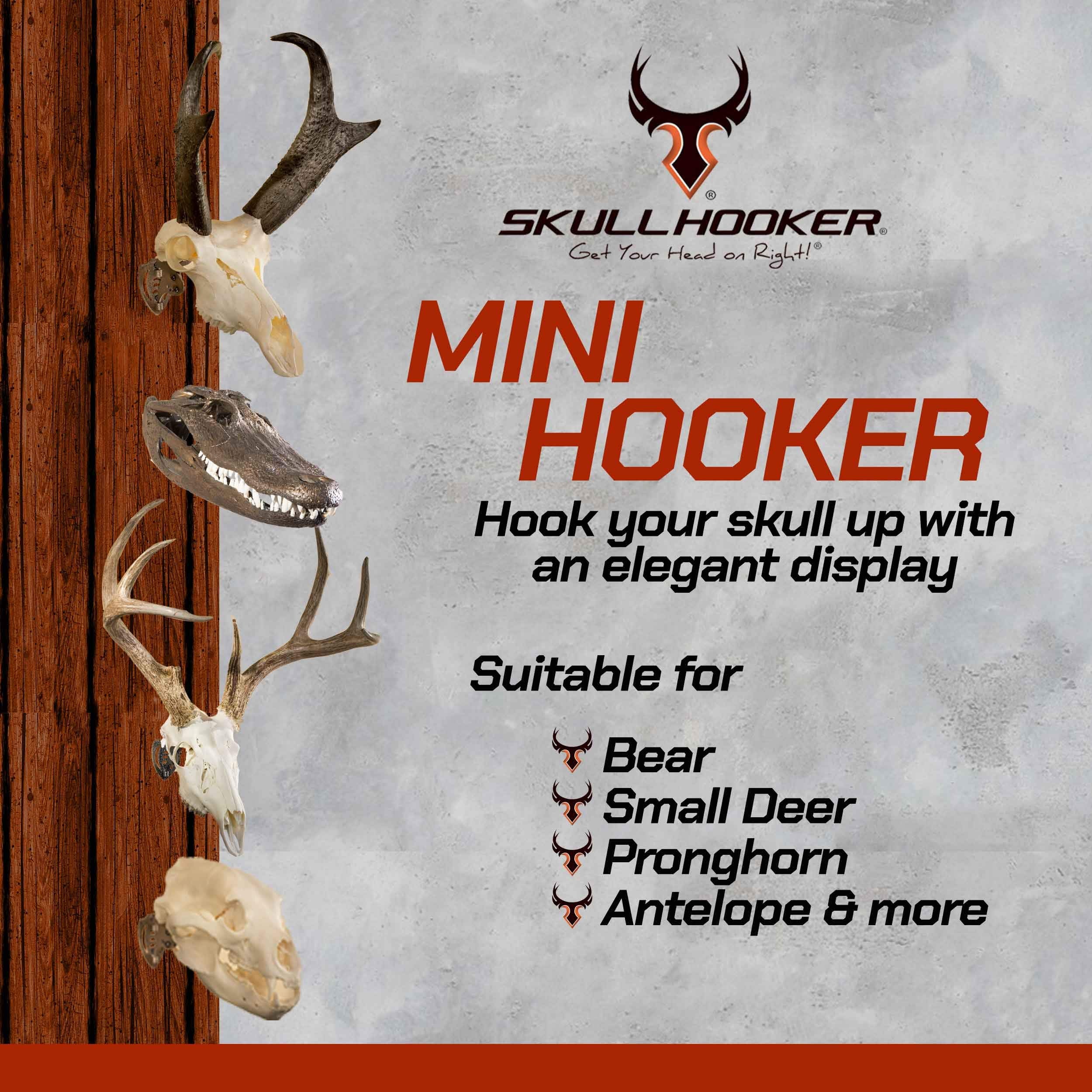 Skull Hooker Skull Hanger Mini Hooker - Perfect Kit for Hanging and Mounting Taxidermy Bear, Small Deer, Pronghorn, and Other Smaller Skulls for Display, Graphite Black