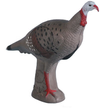 Alert Turkey Target Rinehart Universal Pattern