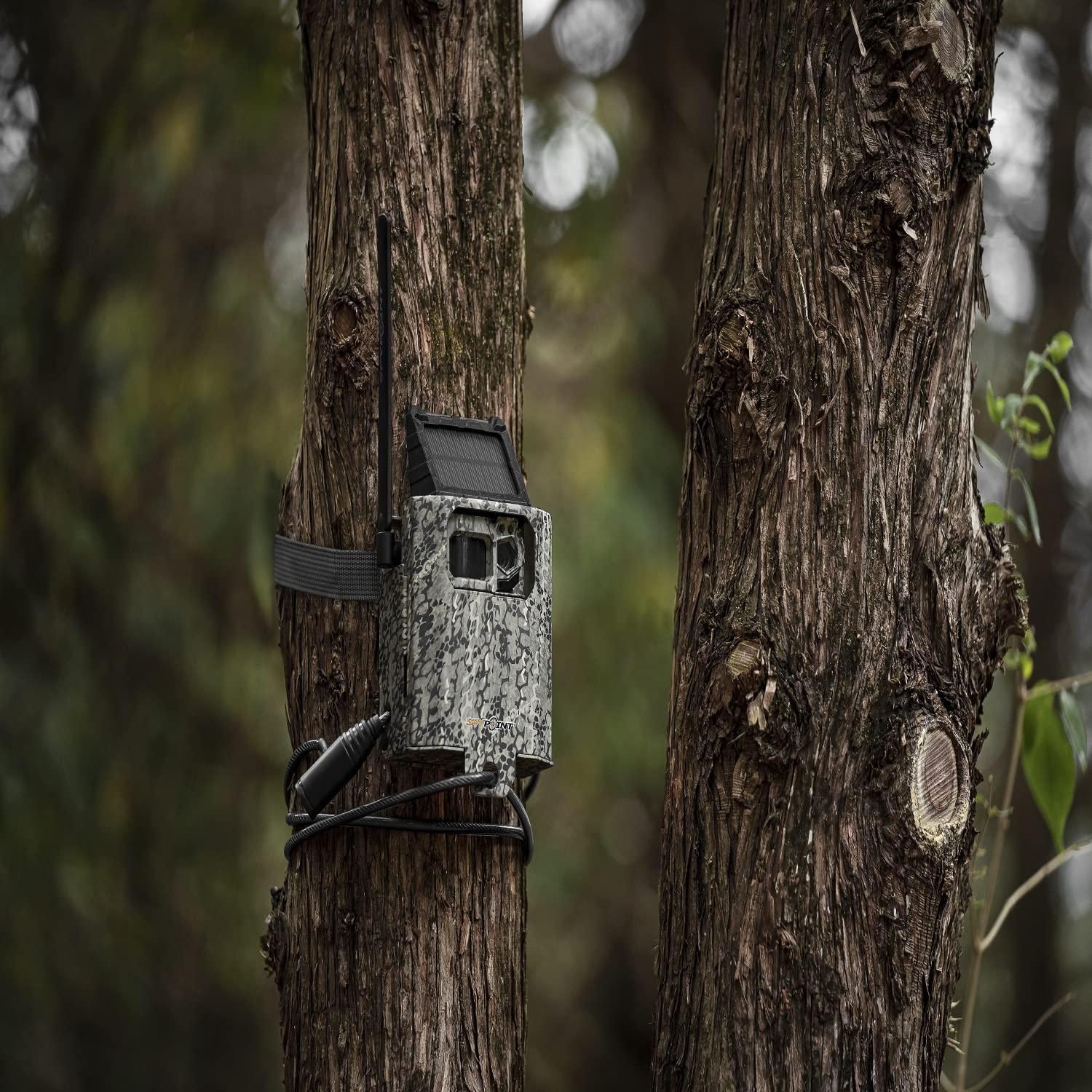 SPYPOINT 4-LED Game Cameras SB-300S Steel Security Trail Cam Box for 16-Gauge Zinc-Coated Steel Trail Camera Accessory for Secure Trail Camera Tree Mount
