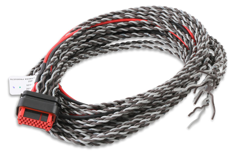 Pro 600 MSD 80001 Coil Harness
