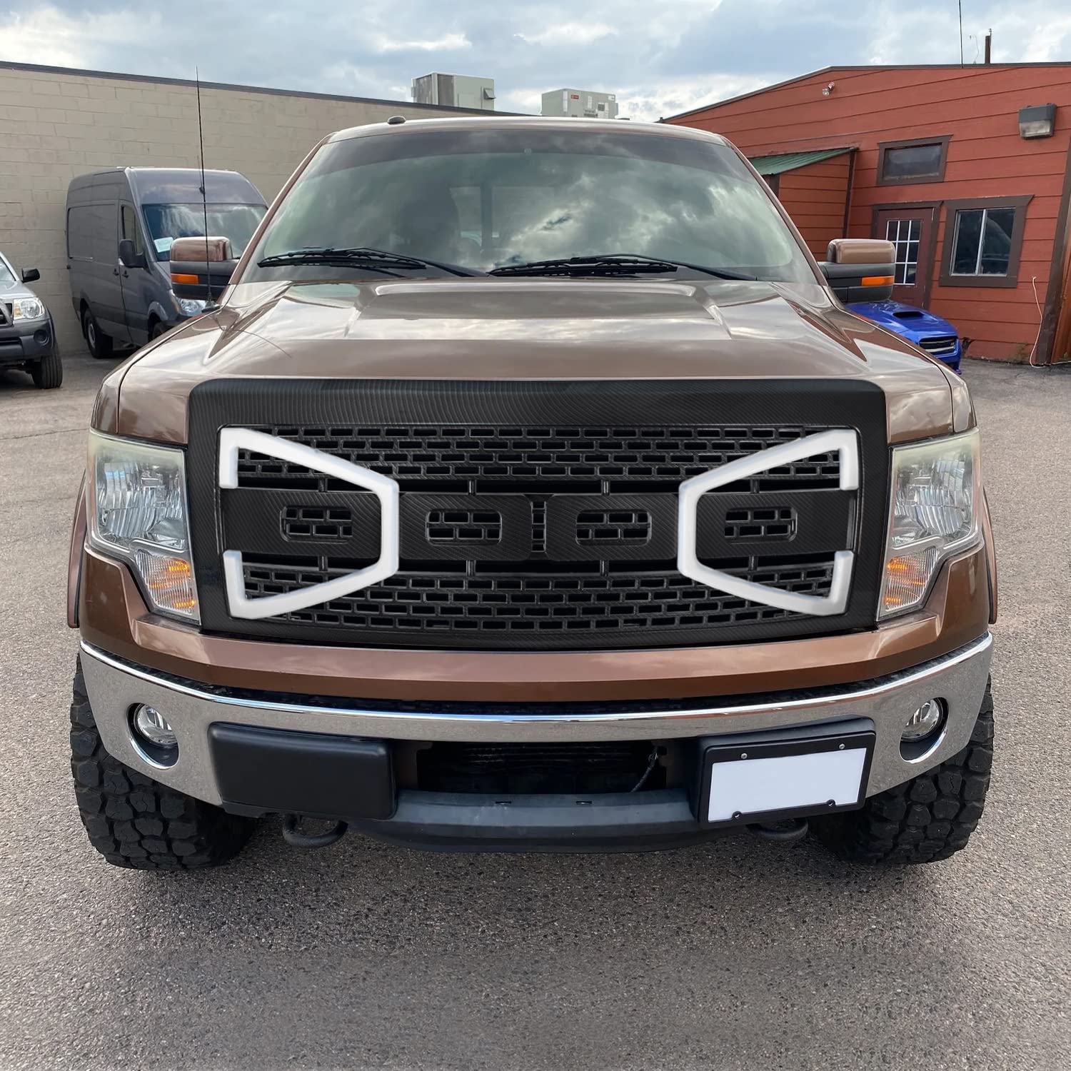 Carbon Fiber Look Spec-D Tuning Mesh Front Hood Grille w/LED Light Tubes Compatible with 2009-2014 Ford F-150