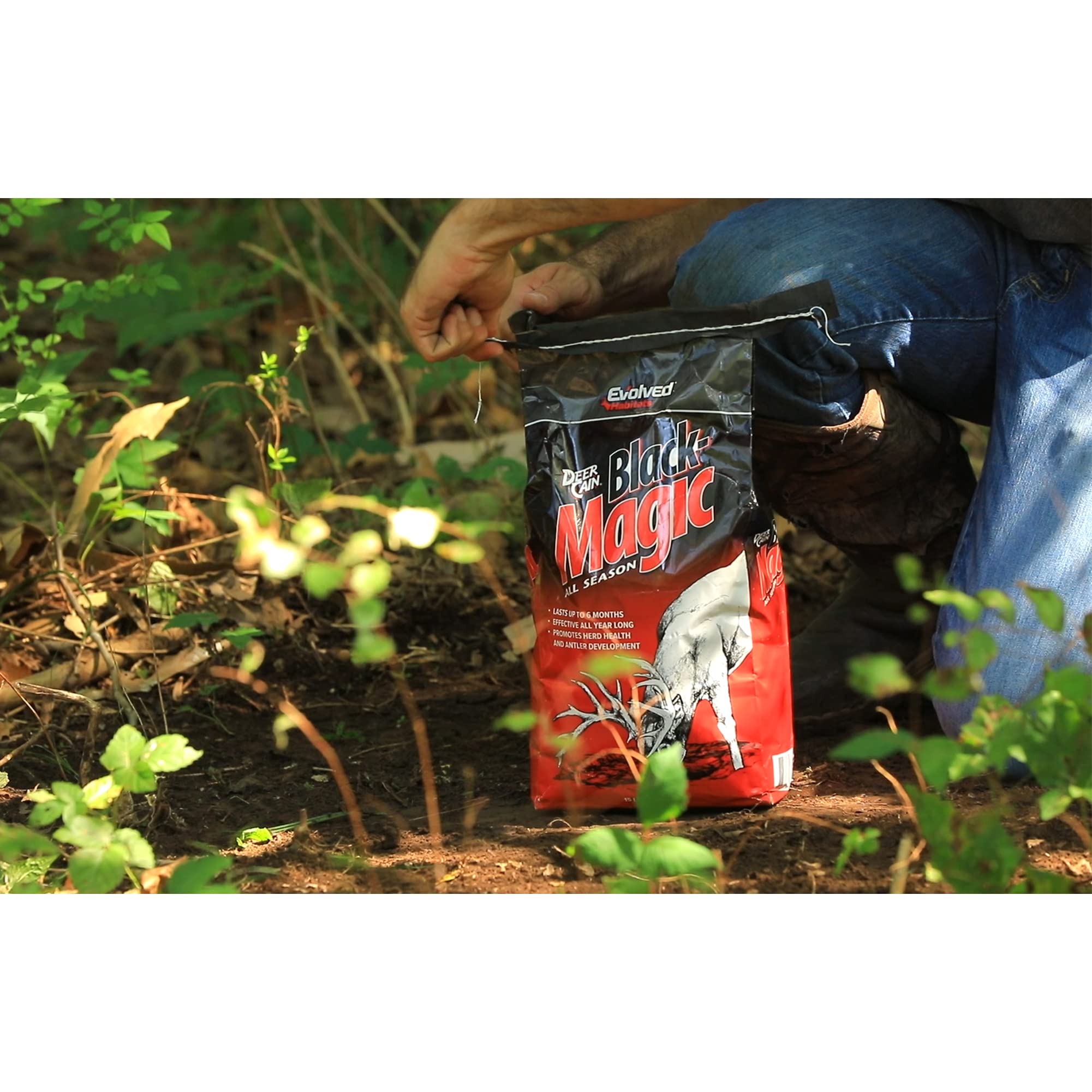 Evolved Habitats Black Magic Deer Cane All Season Powder Attractant - 15 lbs Year-Round Long-Lasting Mineral Lick Food Supplement - Site Activator