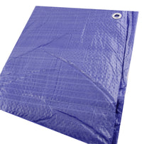 Economy Poly Tarp Erickson 57000