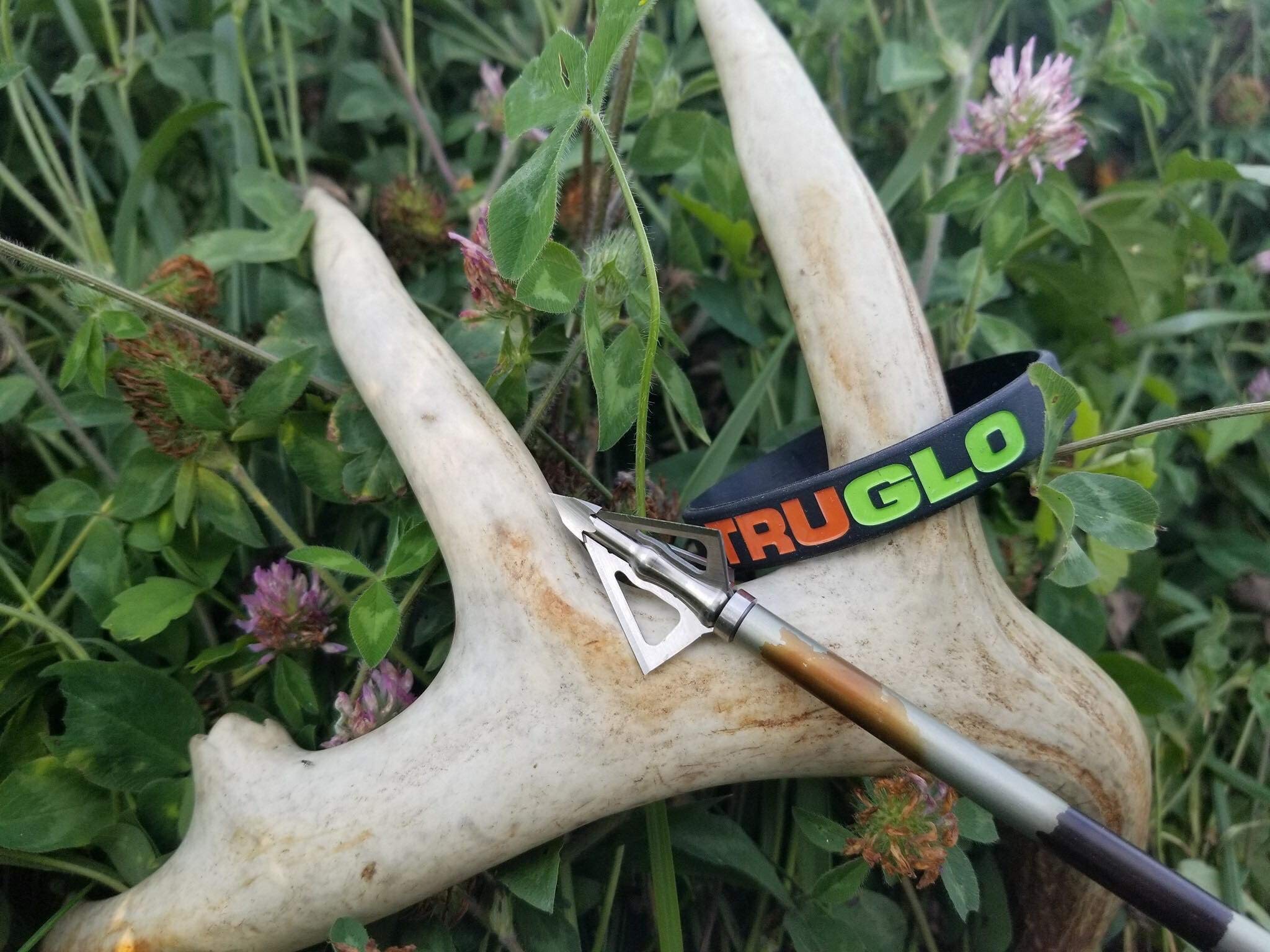 Apex TRUGLO Archery Titanium X 100-Grain Fixed Blade Broadheads - 3-Pack, 4-Blade