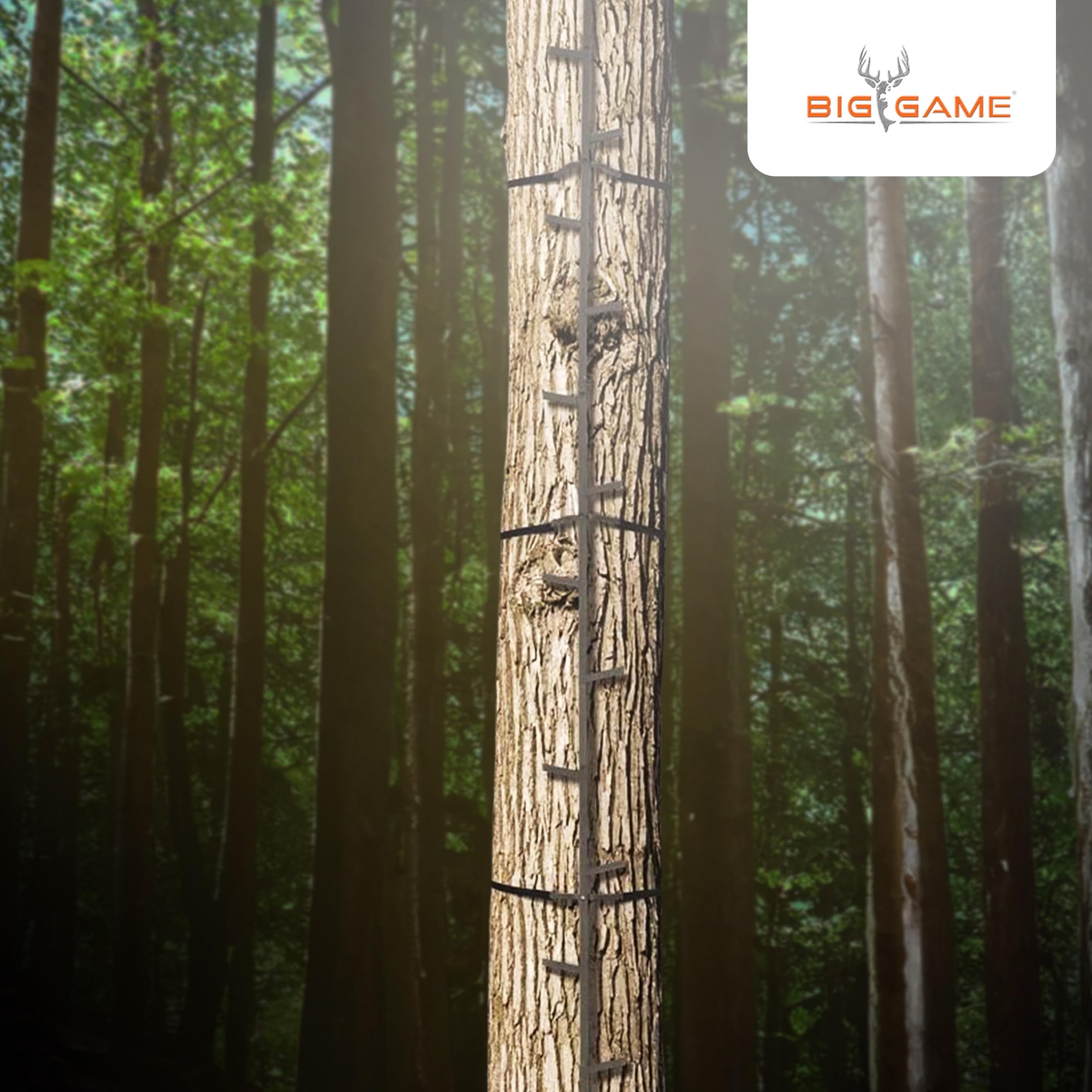 Big Game Climbing Ladder Sticks, Quick-Stick Tree Stand and Hunting Gear System, 20’ - Portable Safety Accessories and Equipment for Mobile Deer Hunters, Climbers, and Shooters