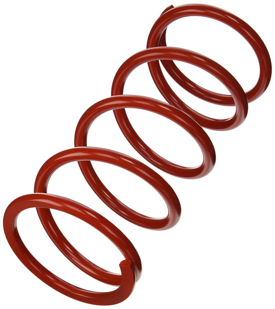 Eibach Rear Conventional Spring 1100.500.0175 Set Of 1