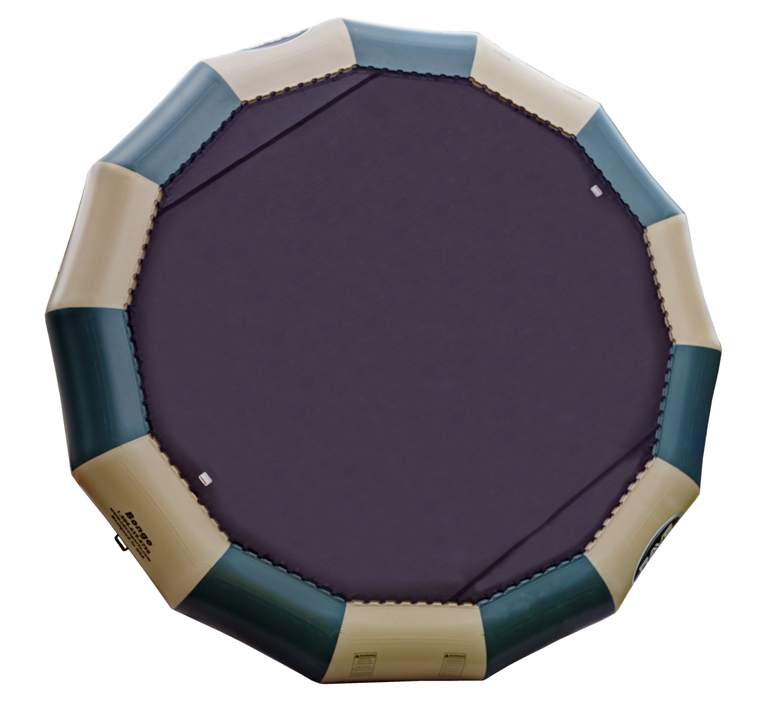 Northwood's Bouncer Bongo 20 by Rave
