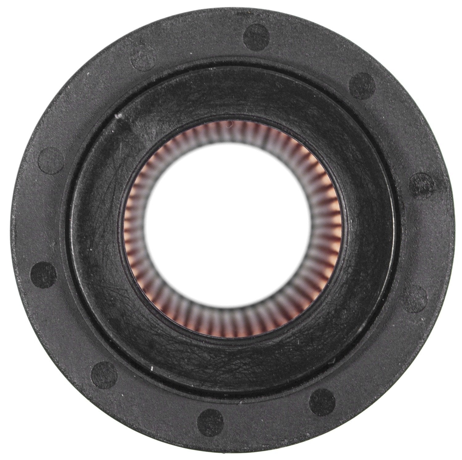 ECO MAHLE OX 179D Oil Filter