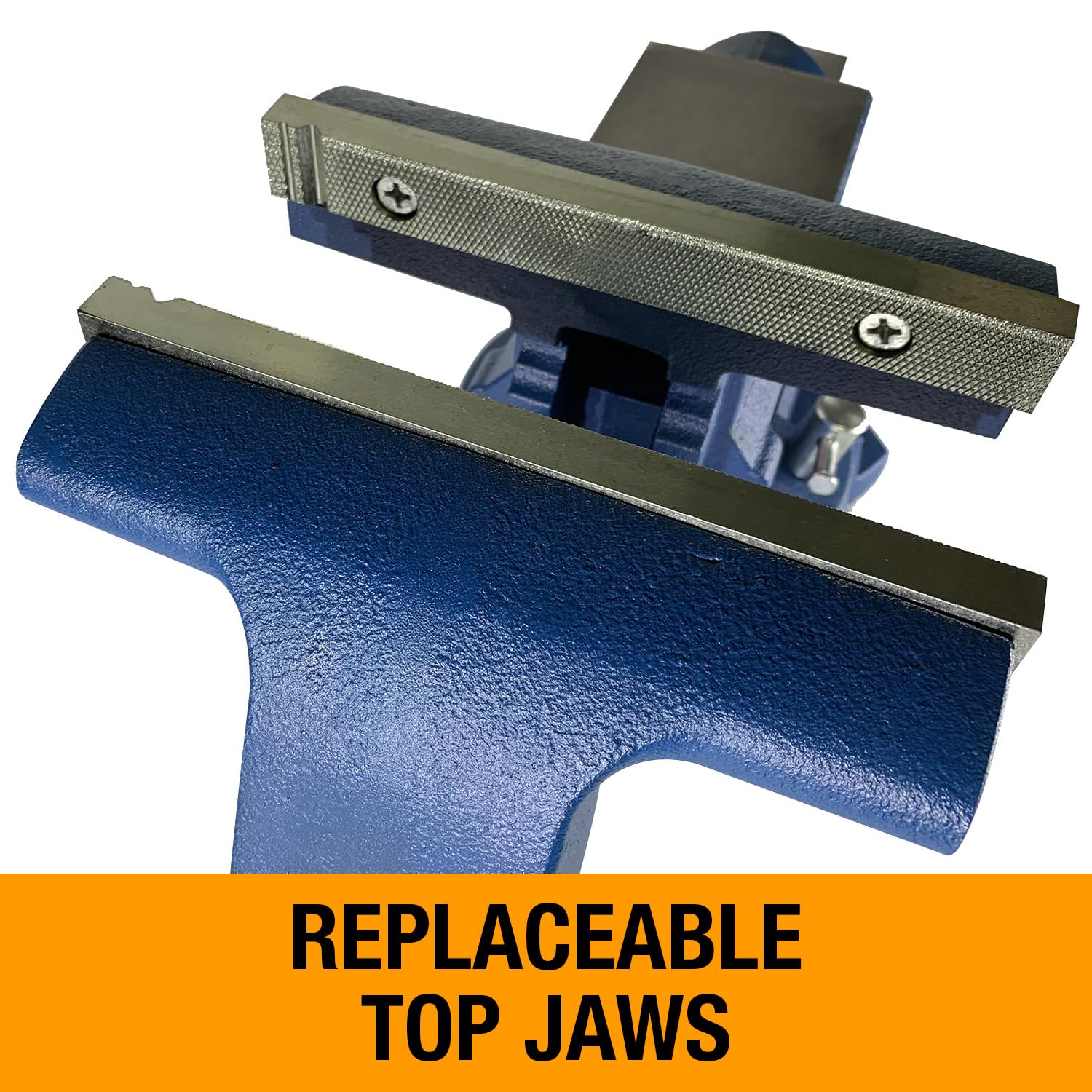 8" Jaw Width Baileigh Industrial Bench Vise, 9" Max Opening, 4" Throat (BV-8I-8)