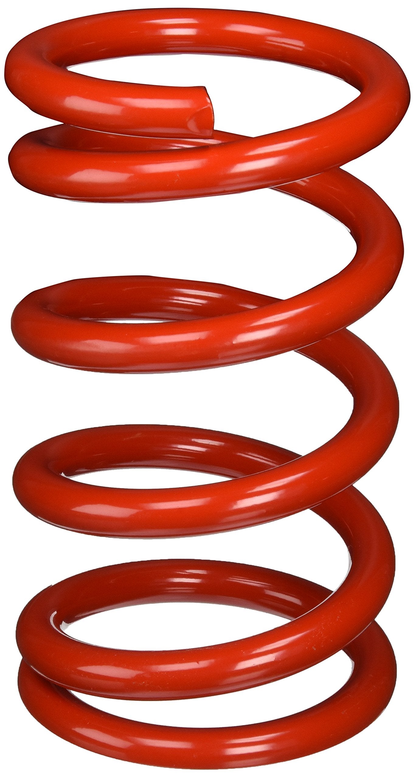 Eibach Front Conventional Spring 0950.550.0700 Set Of 1