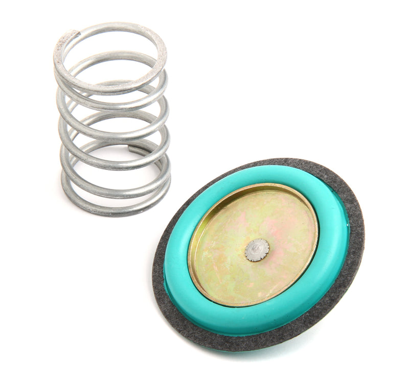 12-824 Holley Regulator Rebuild Kit