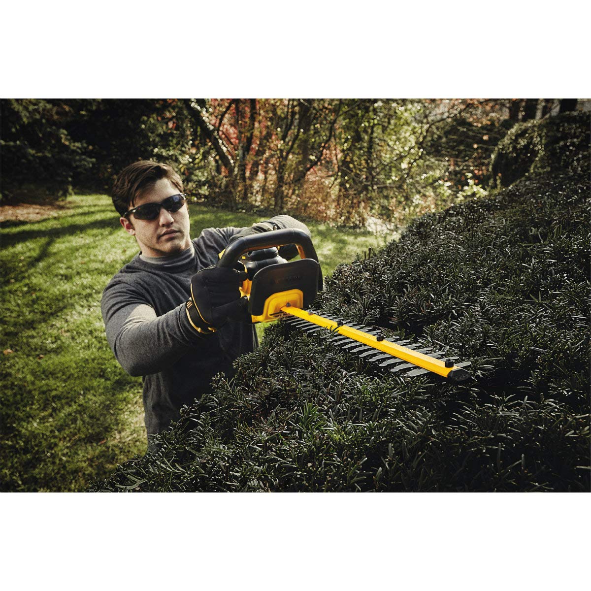 20V MAX* DEWALT Cordless Hedge Trimmer, 5.0 Ah, 22-Inch (DCHT820P1)