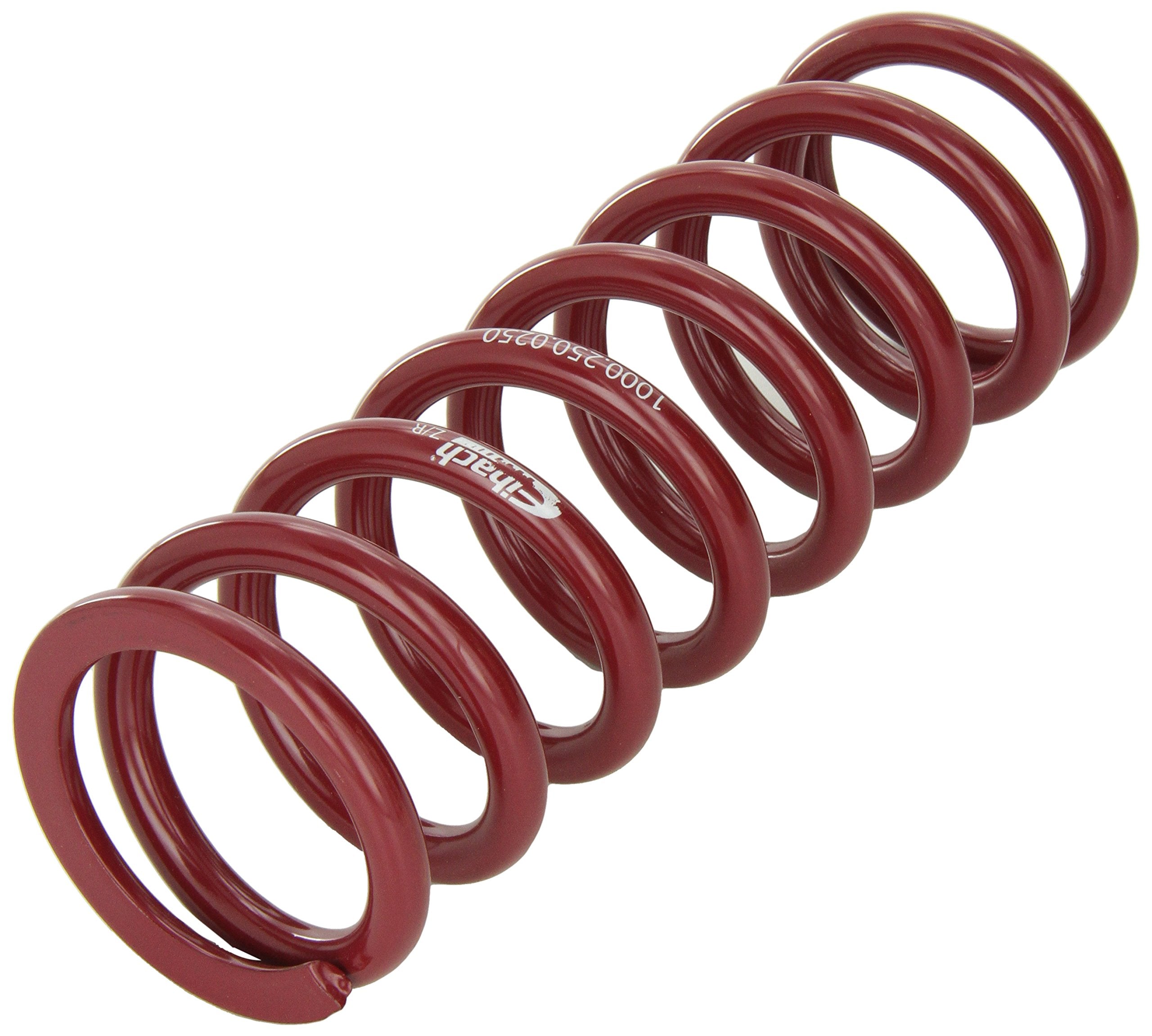 Coil-Over Eibach Spring 1000.250.0250 Set Of 1