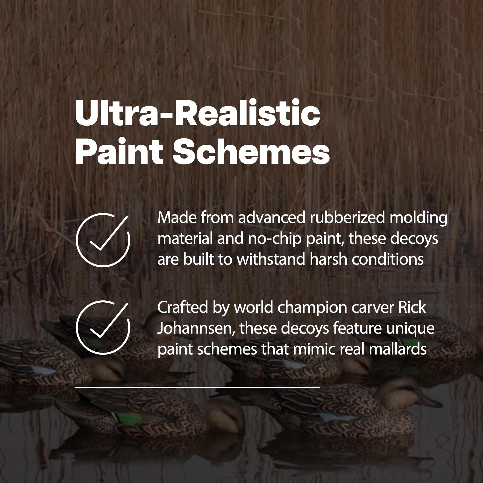 AXP Full Body Mallards Avian-X Decoy with Durable Materials, Wind Activated Motion System, and 6 True to Life Postures, 6 Pack, Multicolor